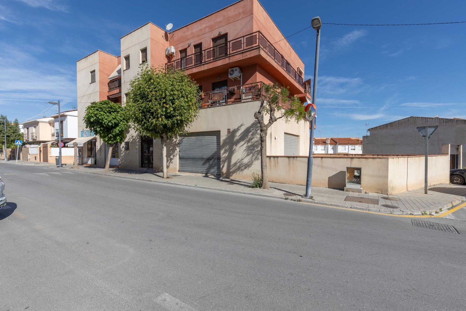 Planta baja